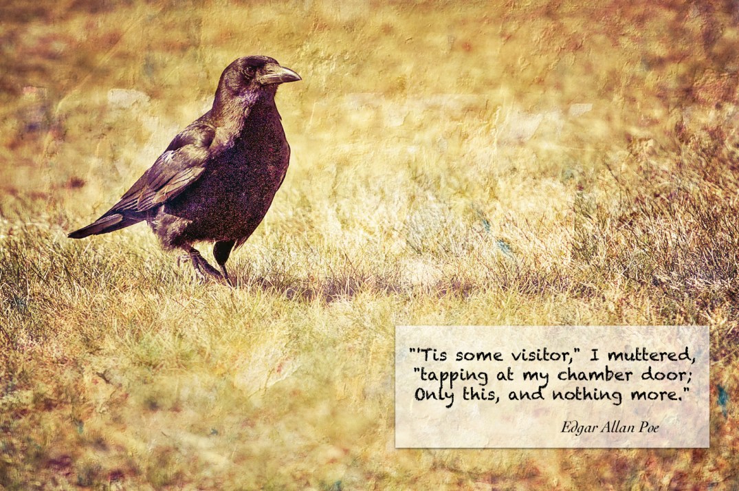 CrowQuote